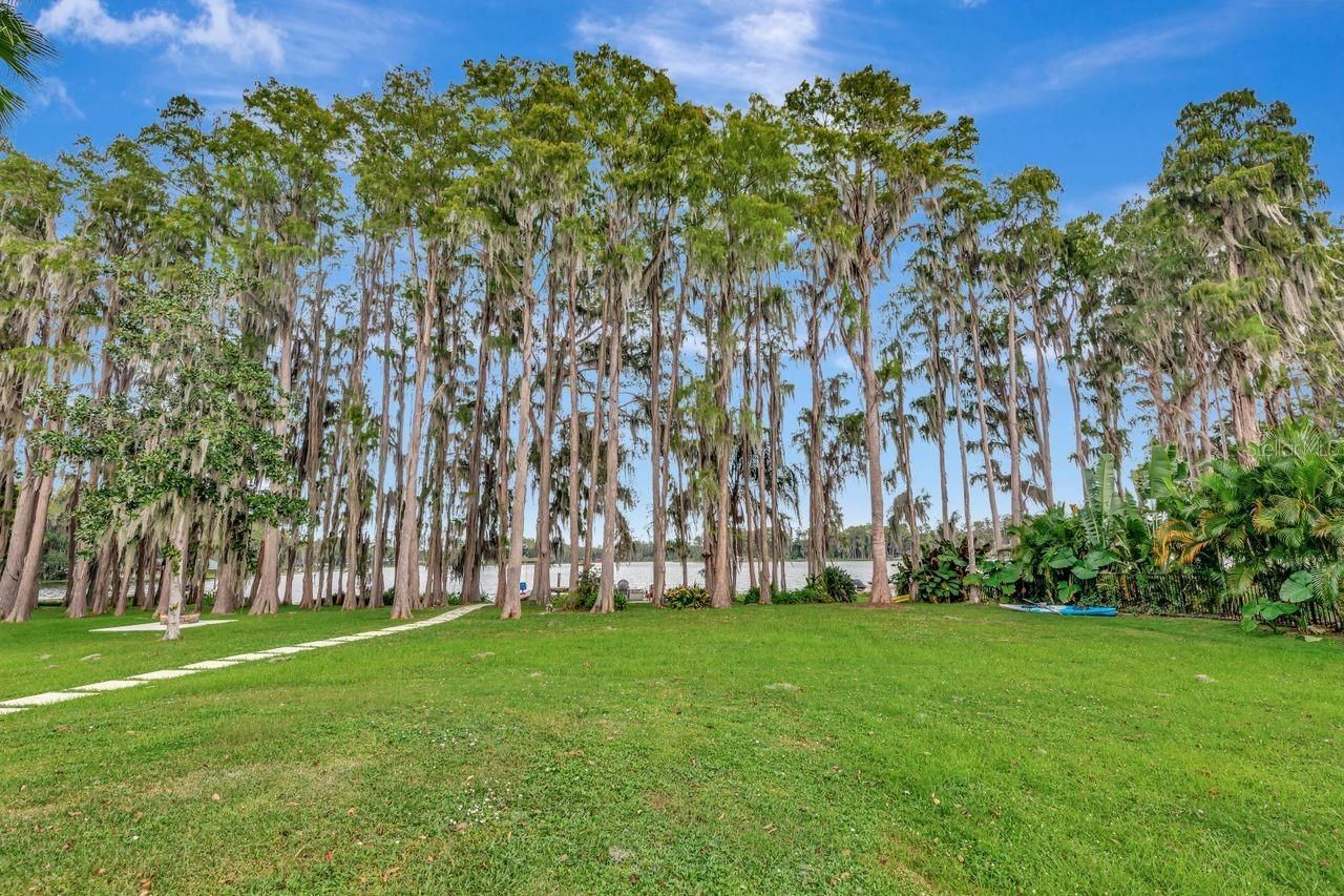 19207 Crooked Lane, Lutz, FL 33548 Photo