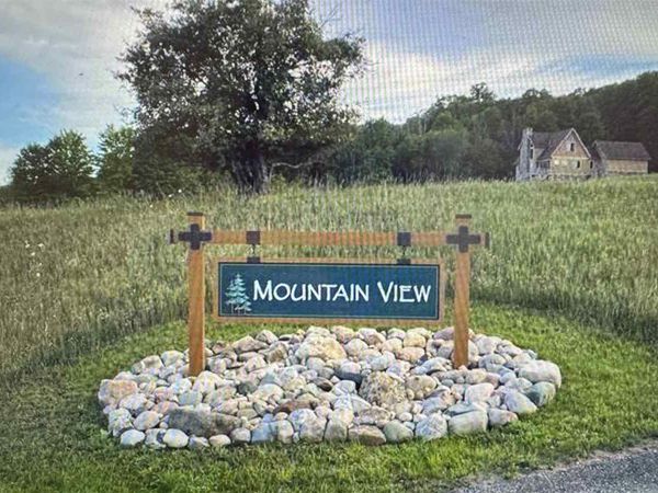 10 E Bettman, Boyne Falls, MI 49713