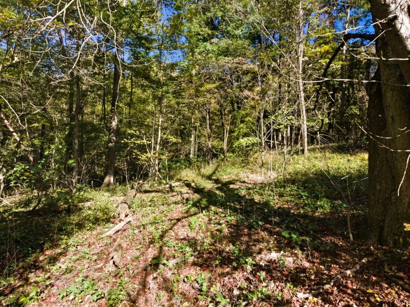 12491 Lesley Road SE, Heath, OH 43056 Photo 33