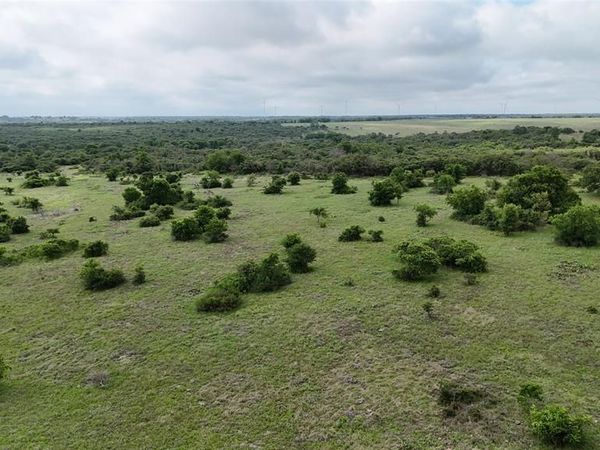 Lot 51 County Road 242, Goldthwaite, TX 76442