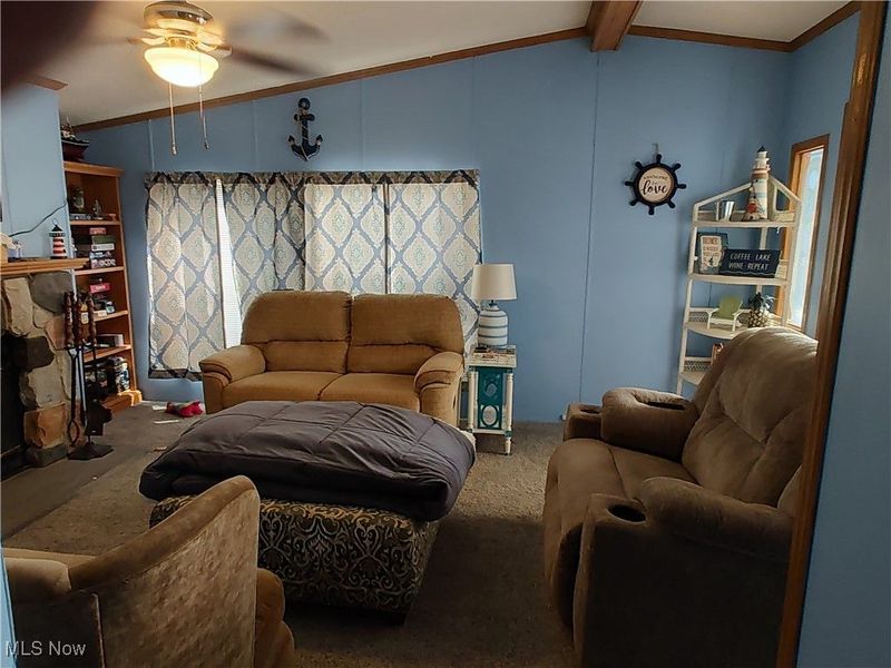 322 Morgan Terrace, Roaming Shores, OH 44084 Photo 16