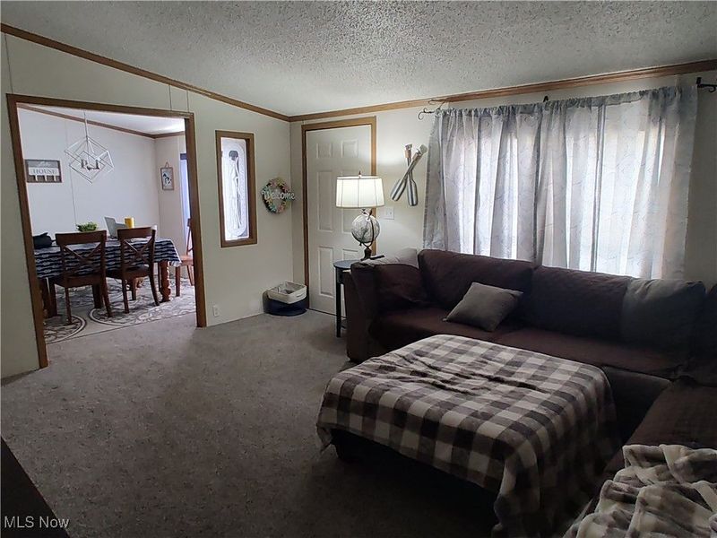 322 Morgan Terrace, Roaming Shores, OH 44084 Photo 21