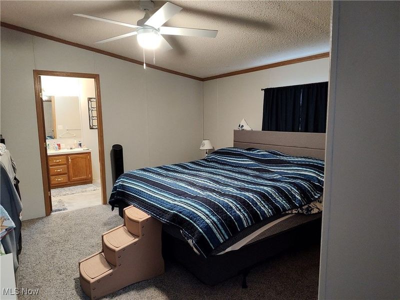 322 Morgan Terrace, Roaming Shores, OH 44084 Photo 27