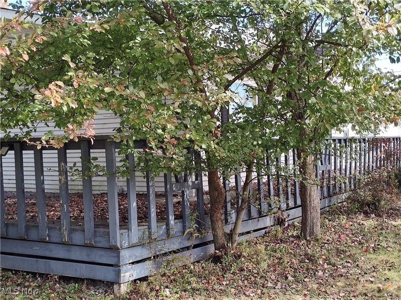 322 Morgan Terrace, Roaming Shores, OH 44084 Photo 5