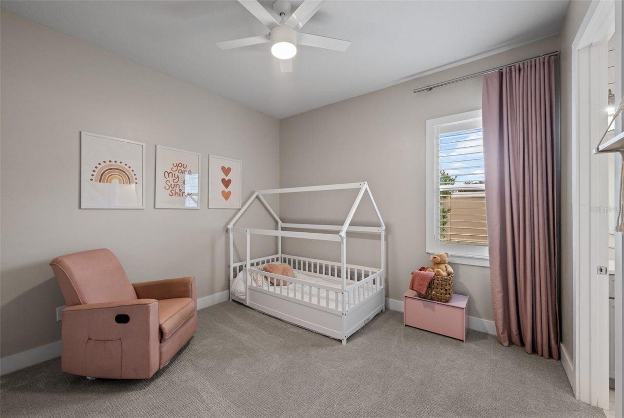 8714 Drummer Plank Drive, Wesley Chapel, FL 33545 Photo