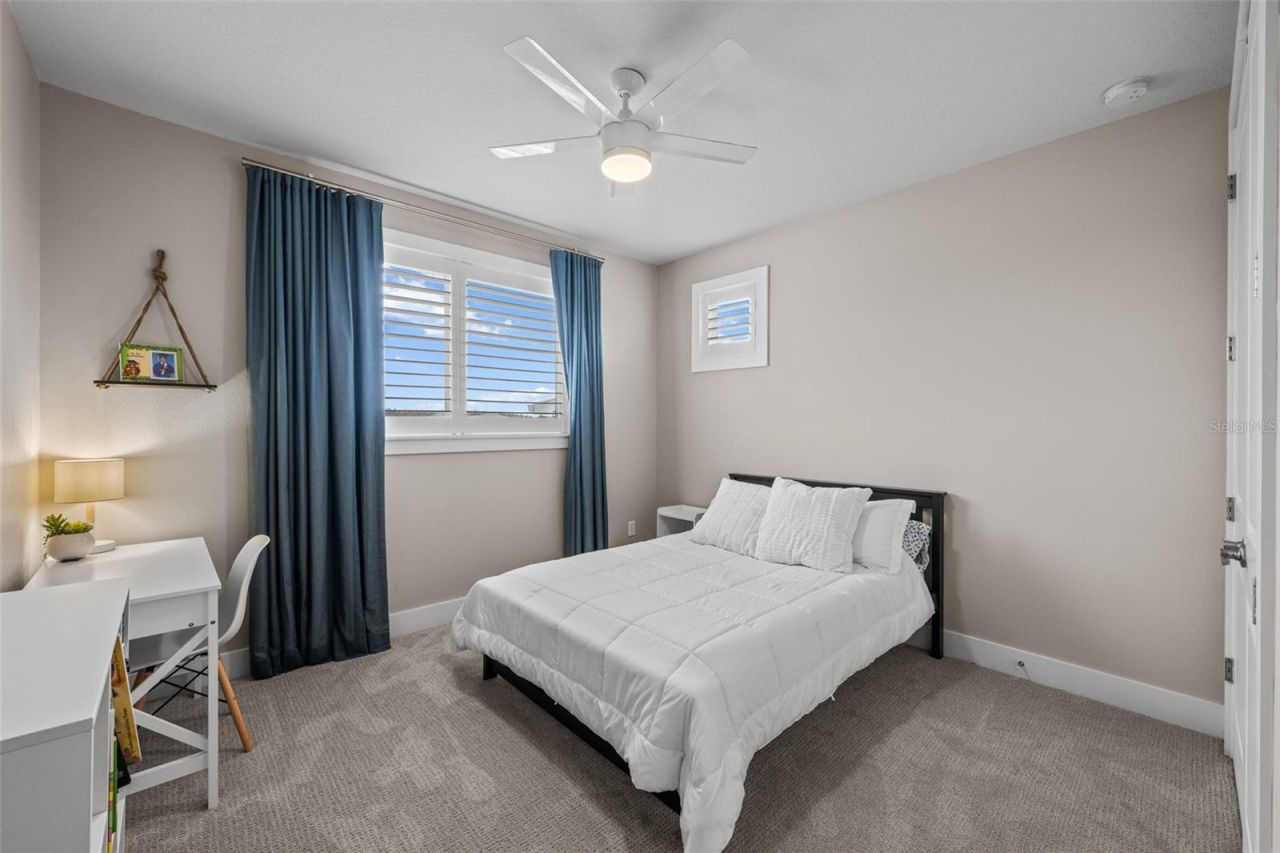 8714 Drummer Plank Drive, Wesley Chapel, FL 33545 Photo