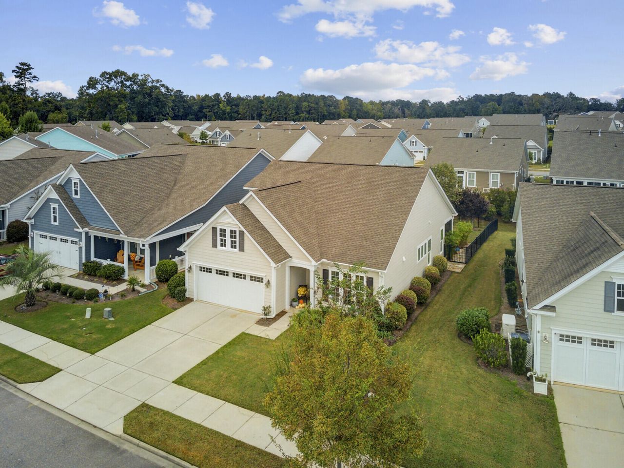 3139 Cross Vine Lane Photo 51