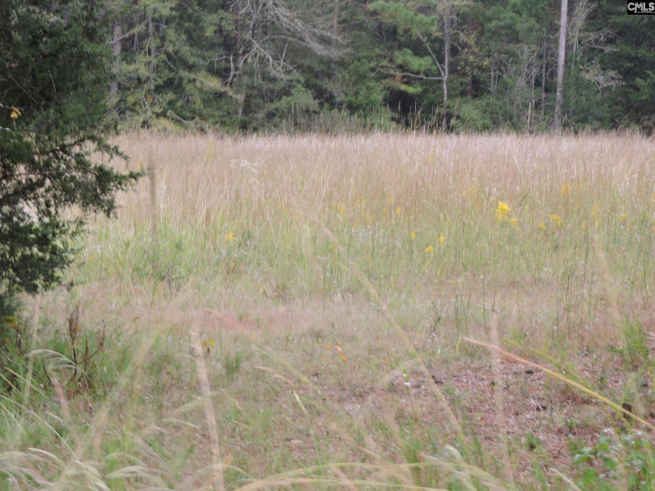 Tbd Leisure Point And Seibert Photo 13