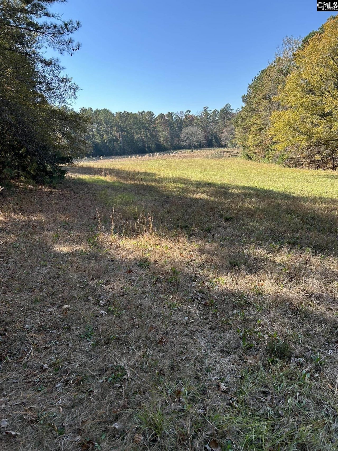 Tbd Leisure Point And Seibert Photo 21