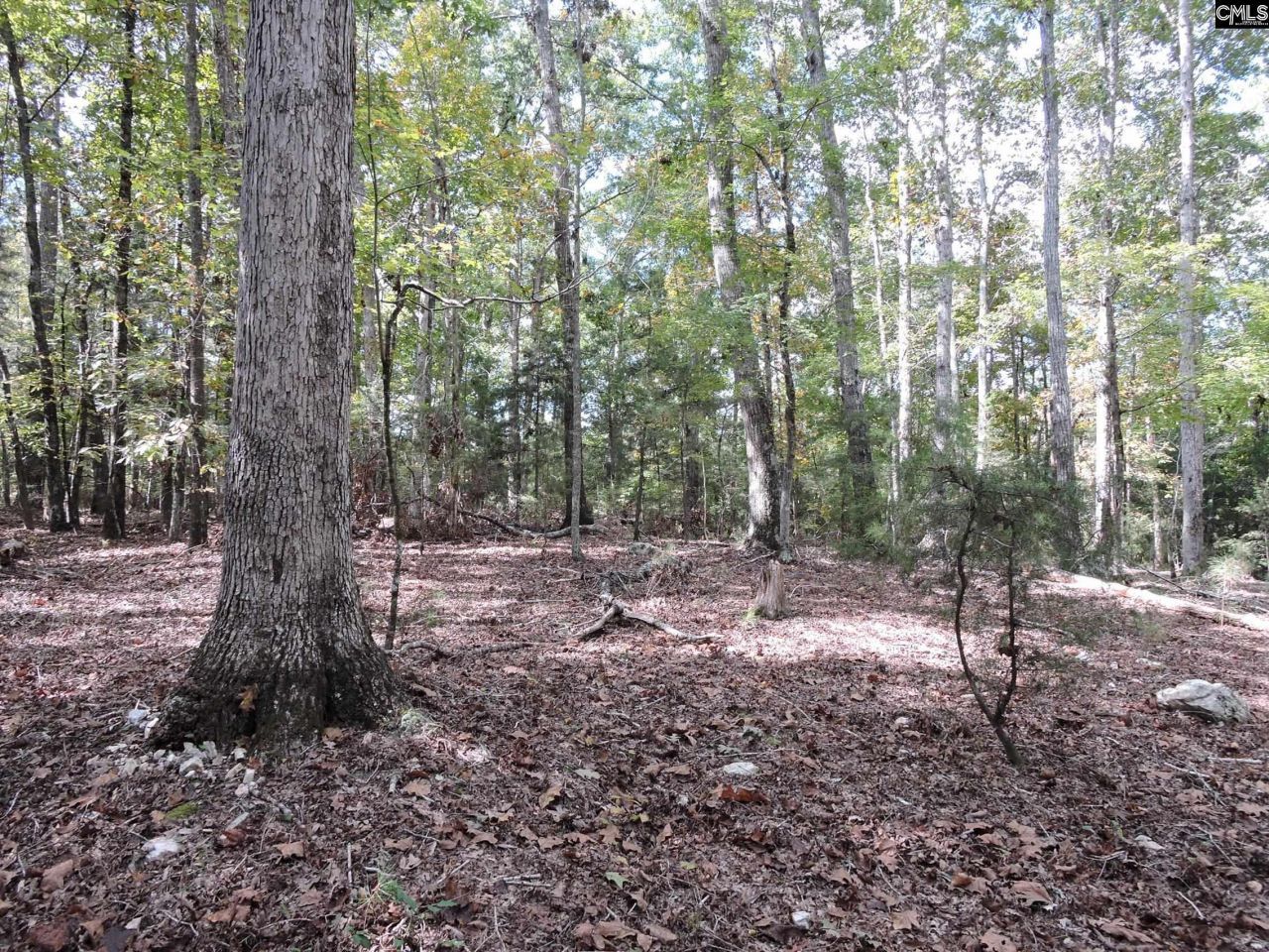 Tbd Leisure Point And Seibert Photo 4