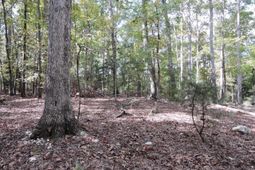 Tbd Leisure Point And Seibert photo 4