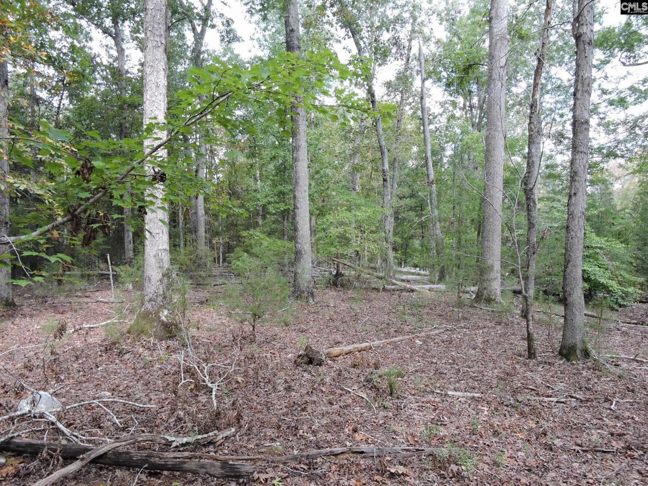 Tbd Leisure Point And Seibert Photo 5