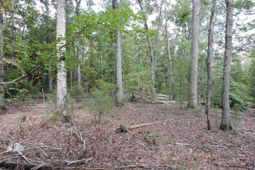 Tbd Leisure Point And Seibert photo 4