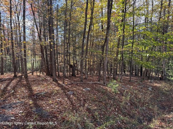 Tbd Cross Patch Road, Willow, NY 12495