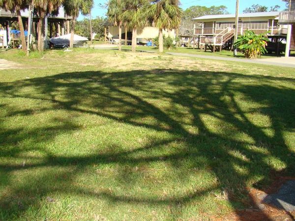 60 1st Ct, Horseshoe Beach, FL 32648