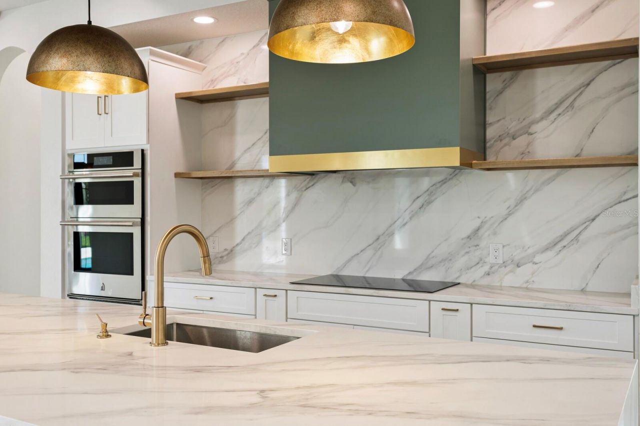 10910 Brooksnest Court, Lithia, FL 33547 Photo