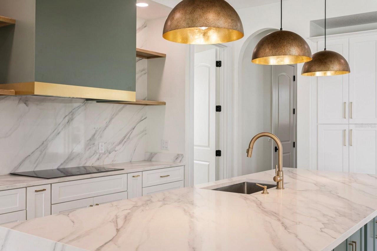 10910 Brooksnest Court, Lithia, FL 33547 Photo