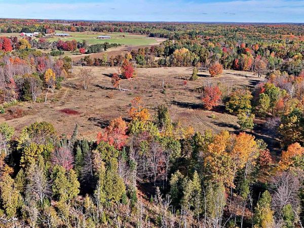 Twin Lake Road, Marion, MI 49665
