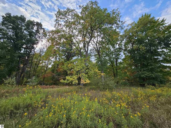 Twin Lake Road, Marion, MI 49665