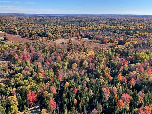 Twin Lake Road, Marion, MI 49665