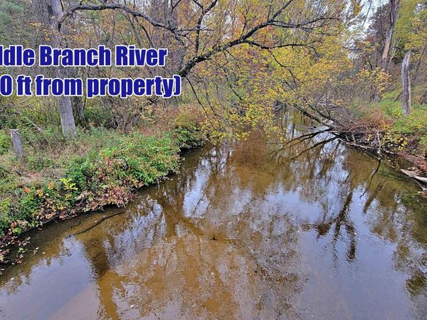 Twin Lake Road, Marion, MI 49665