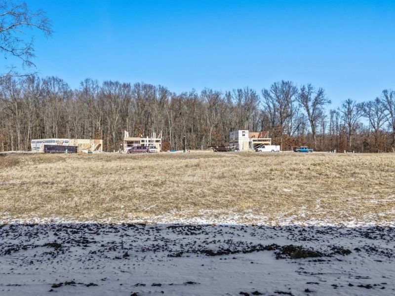 1872 Vista Lake Drive, Goshen Twp, OH 45122 Photo 48