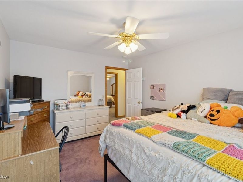 3203 Merchants Avenue, Ashtabula, OH 44004 Photo 25