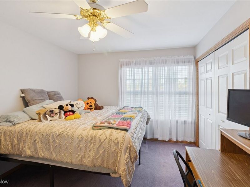 3203 Merchants Avenue, Ashtabula, OH 44004 Photo 26