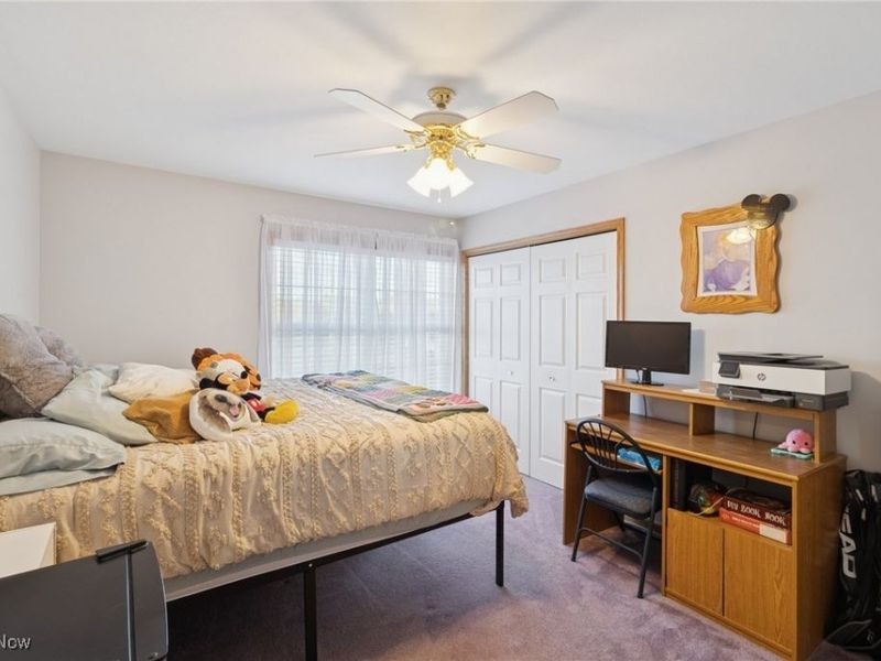 3203 Merchants Avenue, Ashtabula, OH 44004 Photo 27