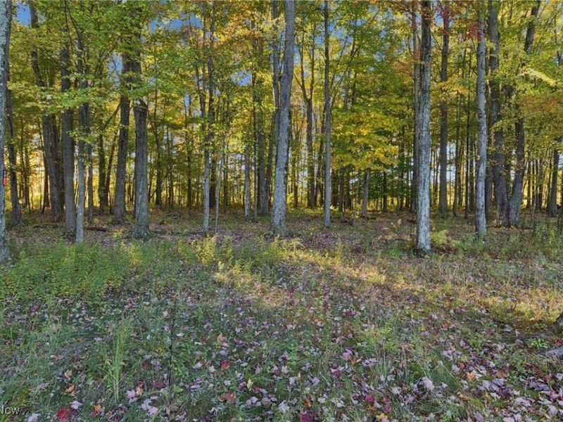 3203 Merchants Avenue, Ashtabula, OH 44004 Photo 48