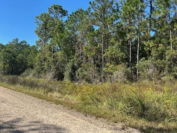 0 Washington Avenue, Coden, AL 36523