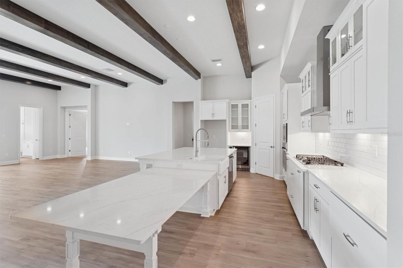 35310 Big Hawk Drive, Zephyrhills, FL 33541 Photo