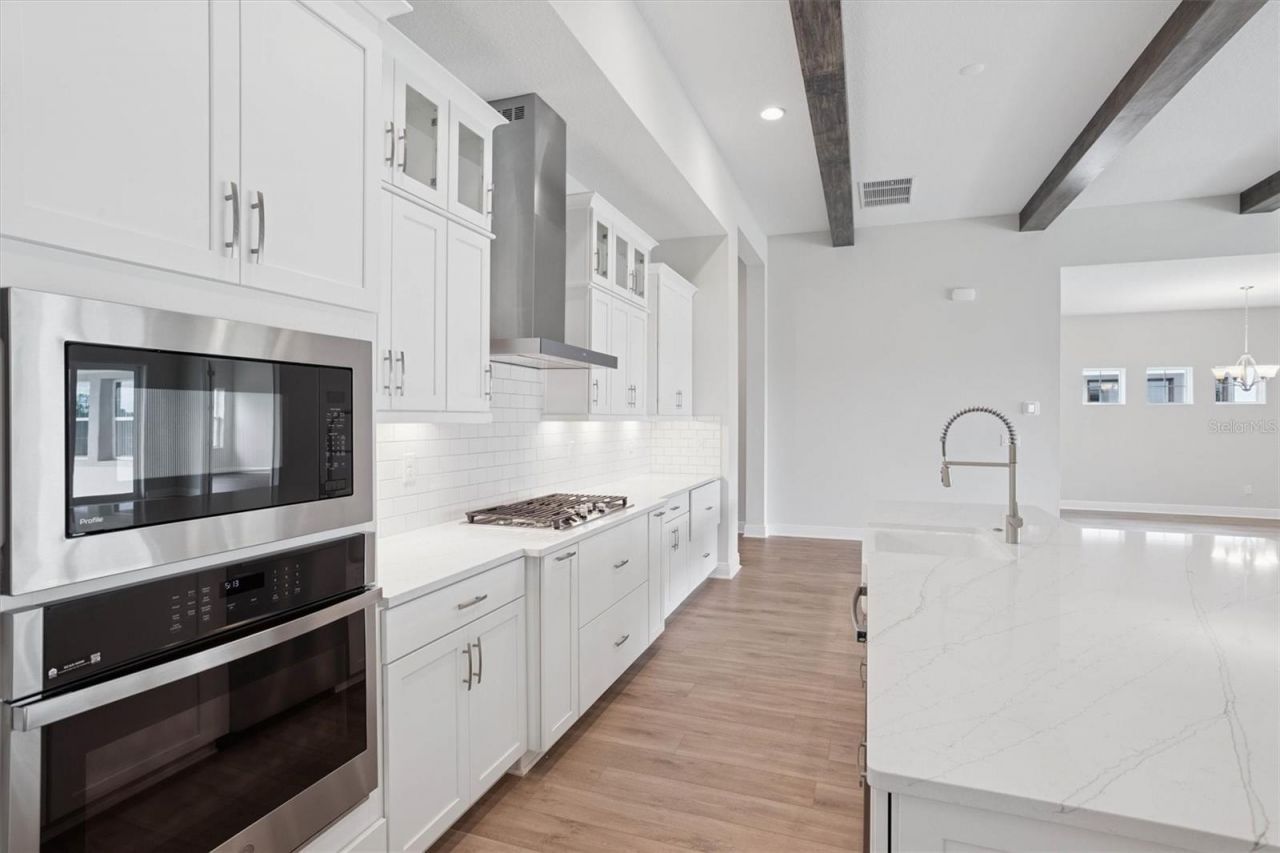 35310 Big Hawk Drive, Zephyrhills, FL 33541 Photo