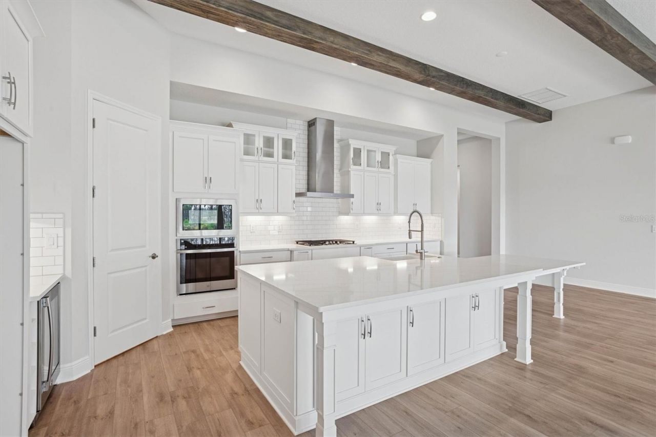 35310 Big Hawk Drive, Zephyrhills, FL 33541 Photo