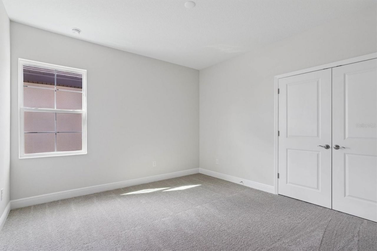 35310 Big Hawk Drive, Zephyrhills, FL 33541 Photo