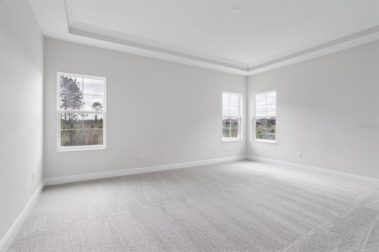 35310 Big Hawk Drive, Zephyrhills, FL 33541 Photo