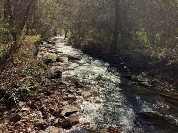 Lot 95 Cedar Road, Ellijay, GA 30540