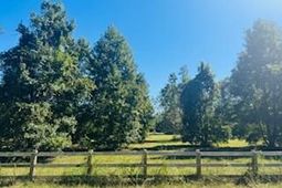 0 Rehoboth Road photo 4