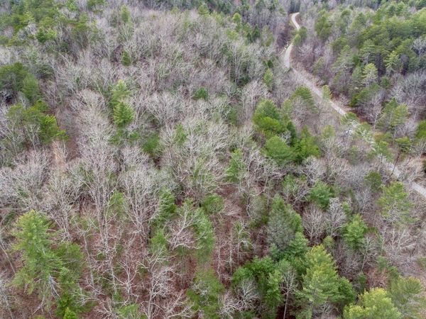 379 MAPLE SPRINGS Rd, Reliance, TN 37369