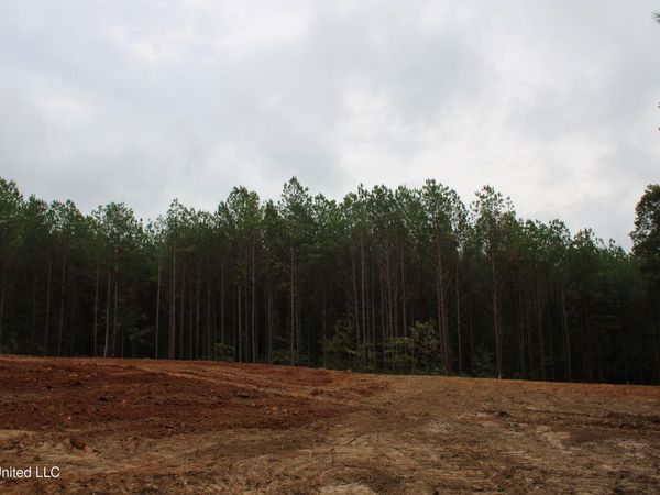 601 Co Rd 442, Oxford, MS 38655