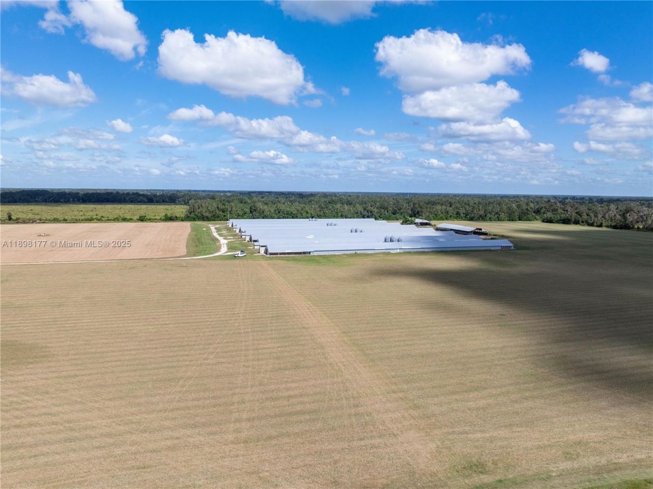 1175 SW County Road 351, Lake City, FL 32055 Photo