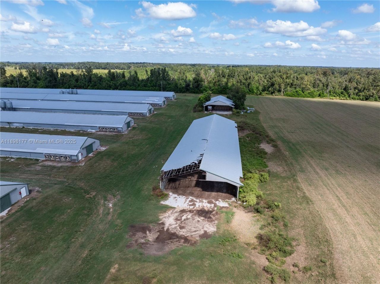 1175 SW County Road 351, Lake City, FL 32055 Photo