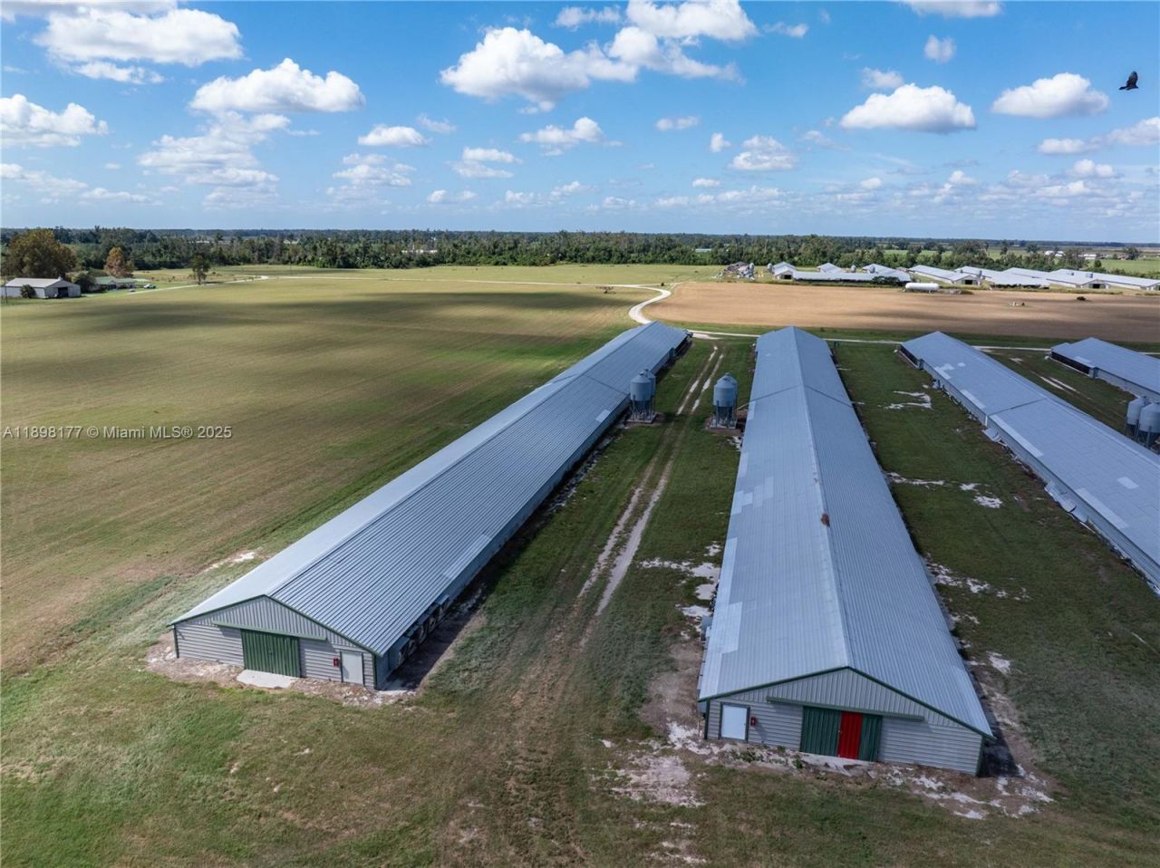 1175 SW County Road 351, Lake City, FL 32055 Photo