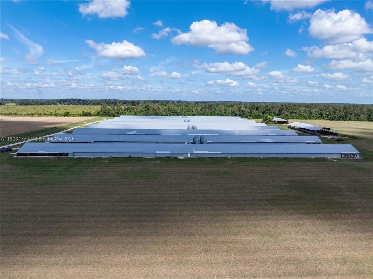 1175 SW County Road 351, Lake City, FL 32055 Photo