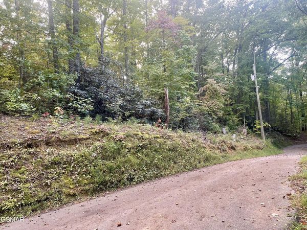 Lot 2 Carter Plaza, Gatlinburg, TN 37738