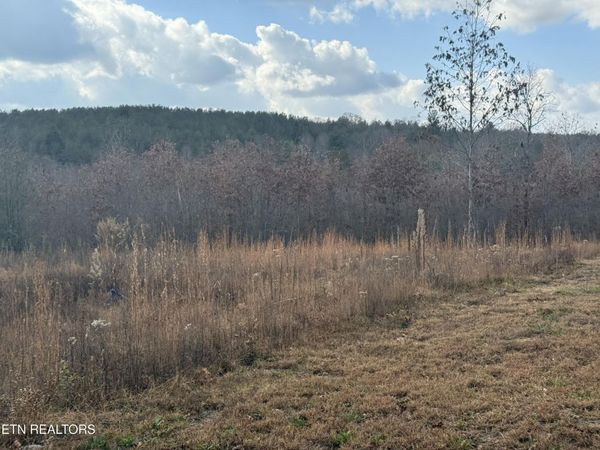 0 6.25 Acres Valerie Drive, Deer Lodge, TN 37726