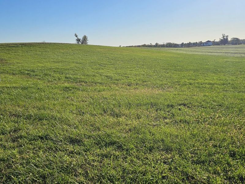 0 Fletcher Chapel Road, South Charleston, OH 45368 Photo 3