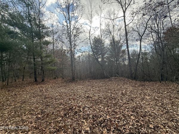 0 10.77 Acres - Valerie Drive, Deer Lodge, TN 37726