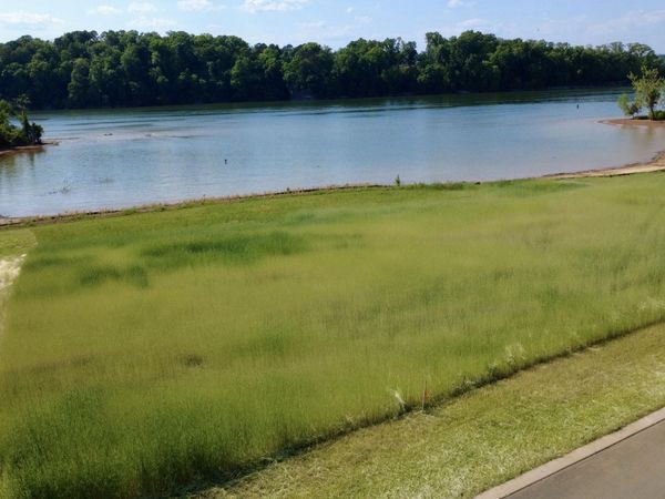 Lot 419 Arcadia Peninsula Way, Knoxville, TN 37922