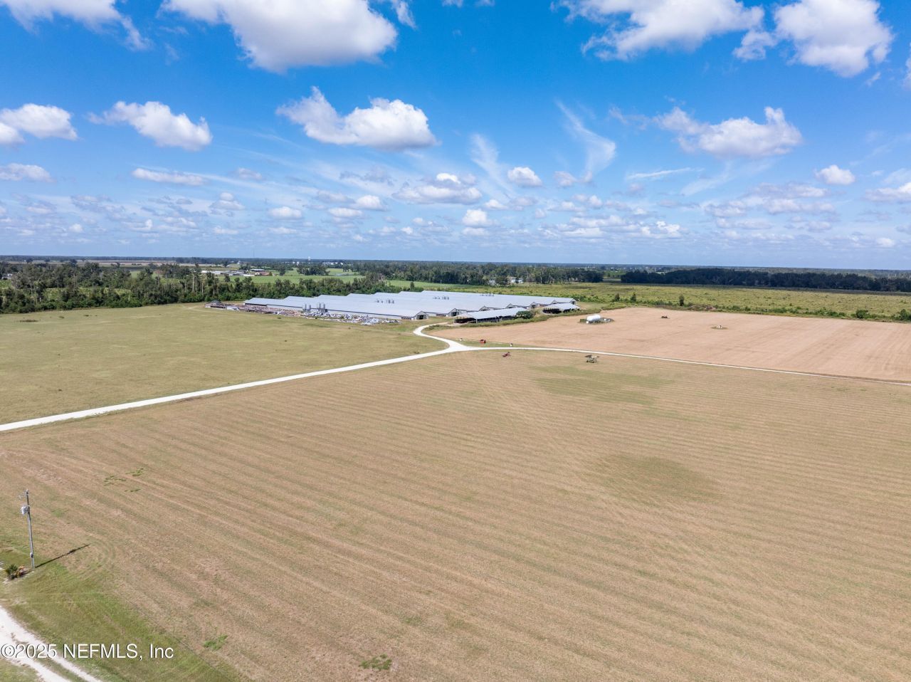 1083 SW County Road 351, Mayo, FL 32066 Photo